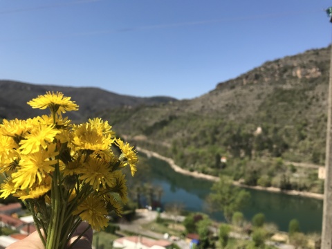 Bouquet offert par Fanny Vayssié, collégienne à Saint-Affrique, et confinée chez elle à Saint-Rome de Tarn.